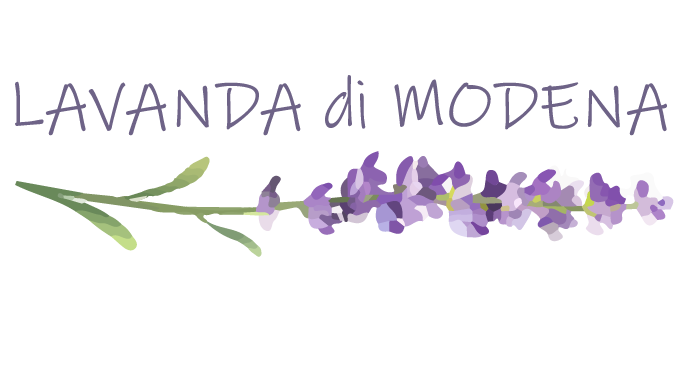 Lavendel von Modena®